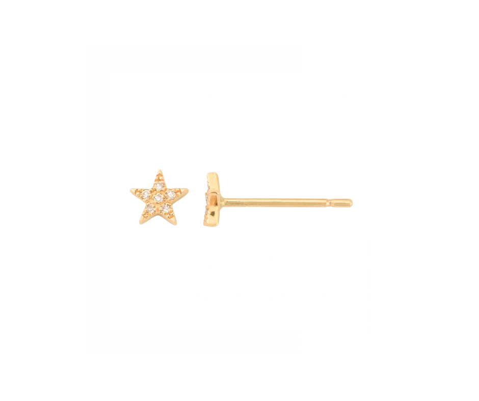 Diamond Dimond Stud Earrings